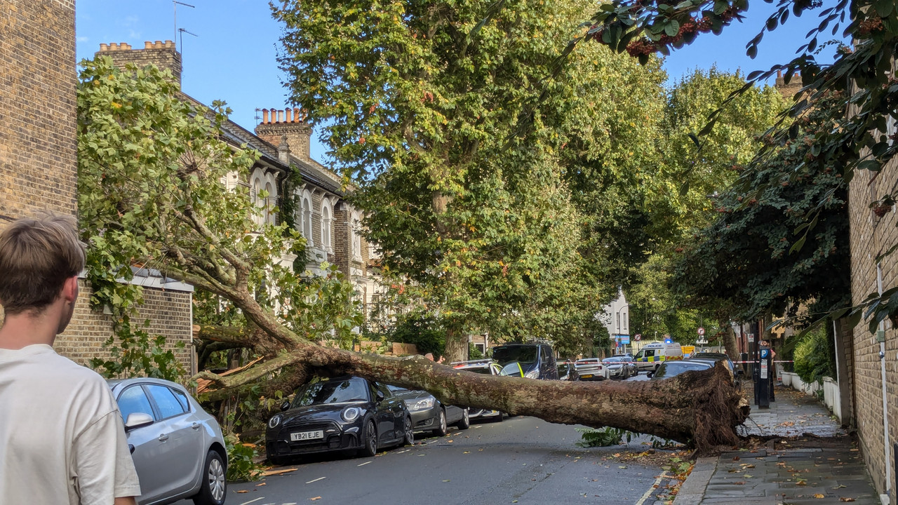 PXL_20240926_155500819.MP