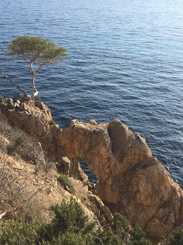 835278A4-EFAC-4435-9674-DDD188FC35D2