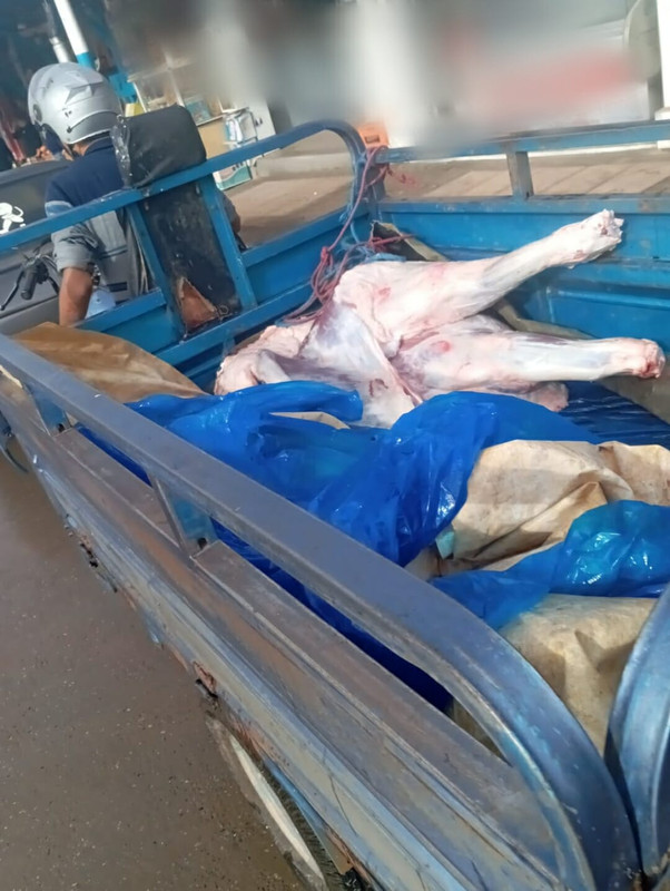 583267117-2055707511928399-3949287760811523797-n