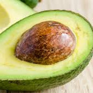 Avocado logo
