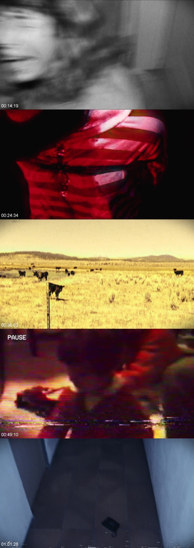 [Obrazek: screenshot-1.png]