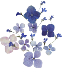 blue-flower-good.png