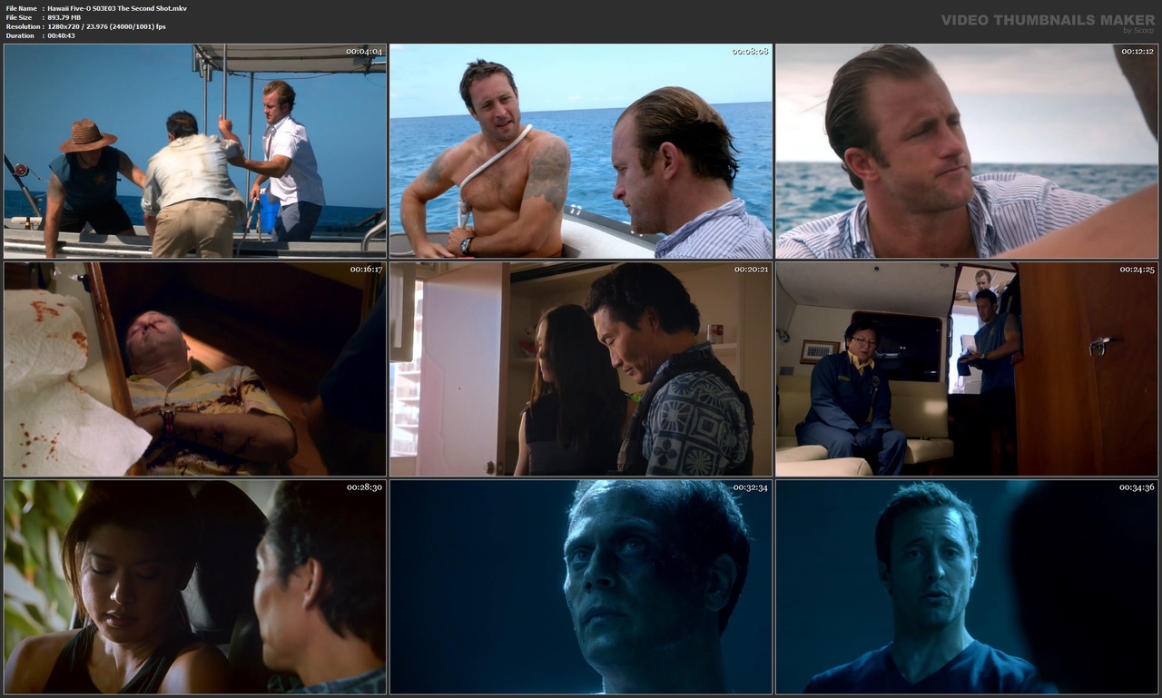 Hawaii Five-O S03E03 The Second Shot.mkv