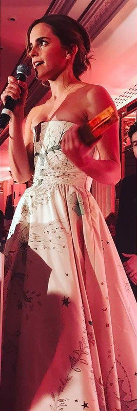 emmawatson-updates.com (1)