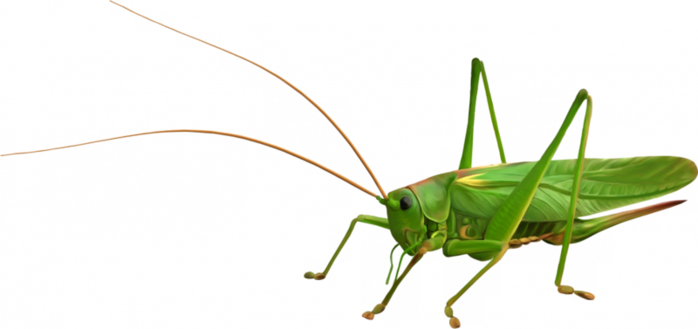 0_1c0bc2_9c6322d4_orig