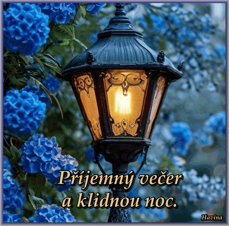 DNu-Xt-X0CO1Ip