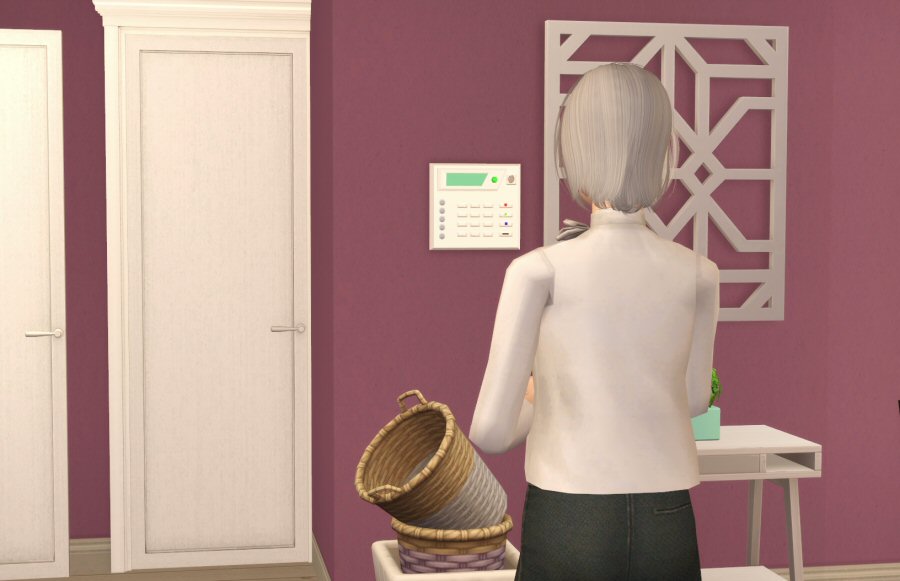 Sims2-EP9-RPC-2021-04-03-13-42-14-76