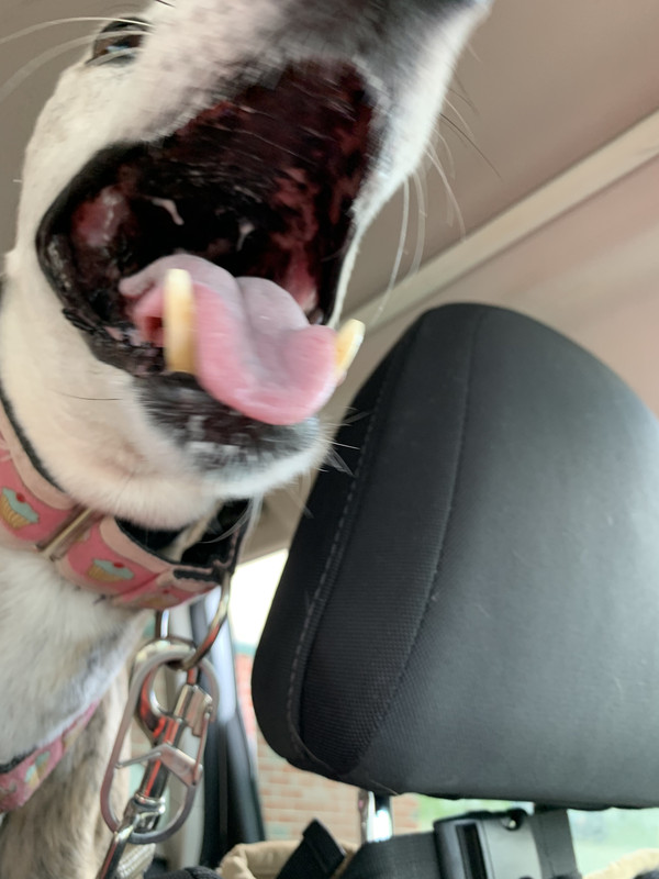 3EE92801-7987-4B5B-A2DF-B07A8786B27B