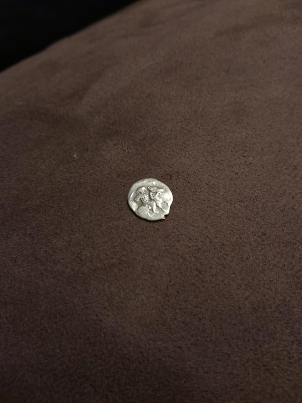 IMG-20191015-WA0016