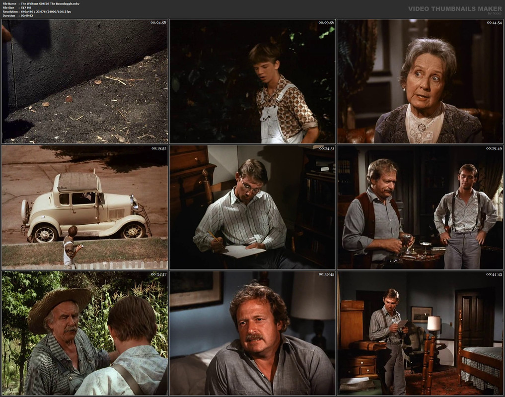 The Waltons S04E05 The Boondoggle.mkv