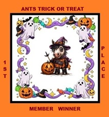 ants m 1st