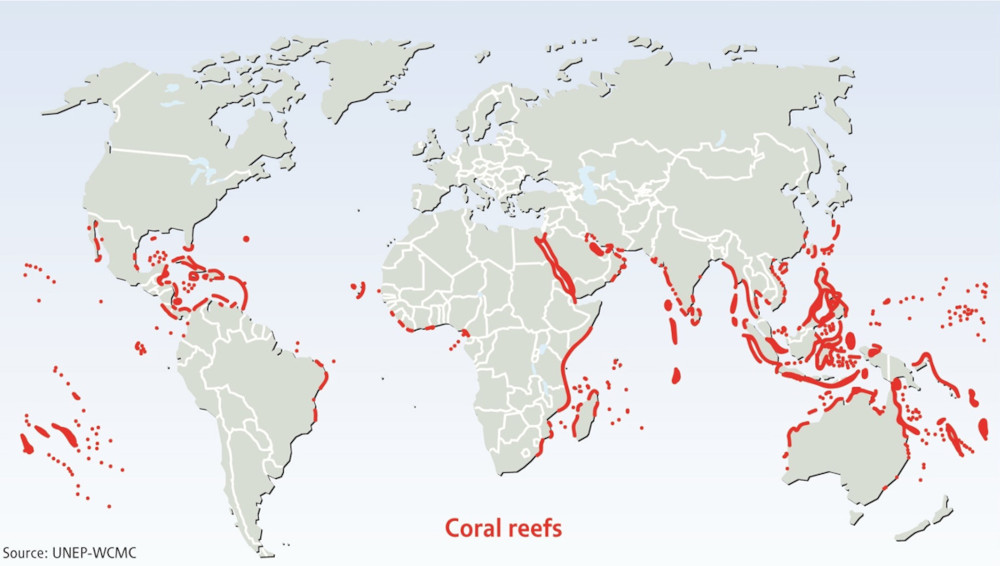 https://i.postimg.cc/yN3dhfbV/20240508-coral-reef-diffusion-2021-map.jpg