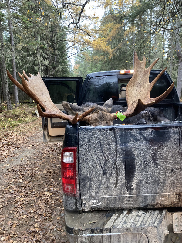 D056FE66-0526-462C-A41C-6AF565600BBD