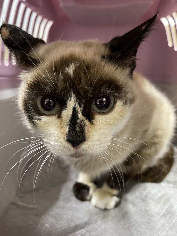 DDF59E8A-344E-4F5E-BDCF-CD22FA798856