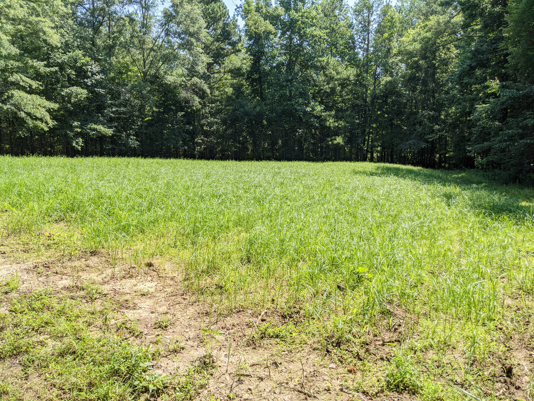 PXL_20210705_155517766