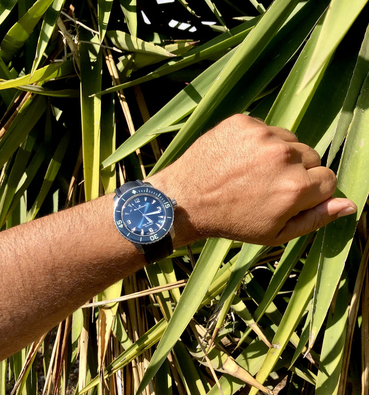 065070E9-DE7E-4E9D-8C51-3B5B75F226E6