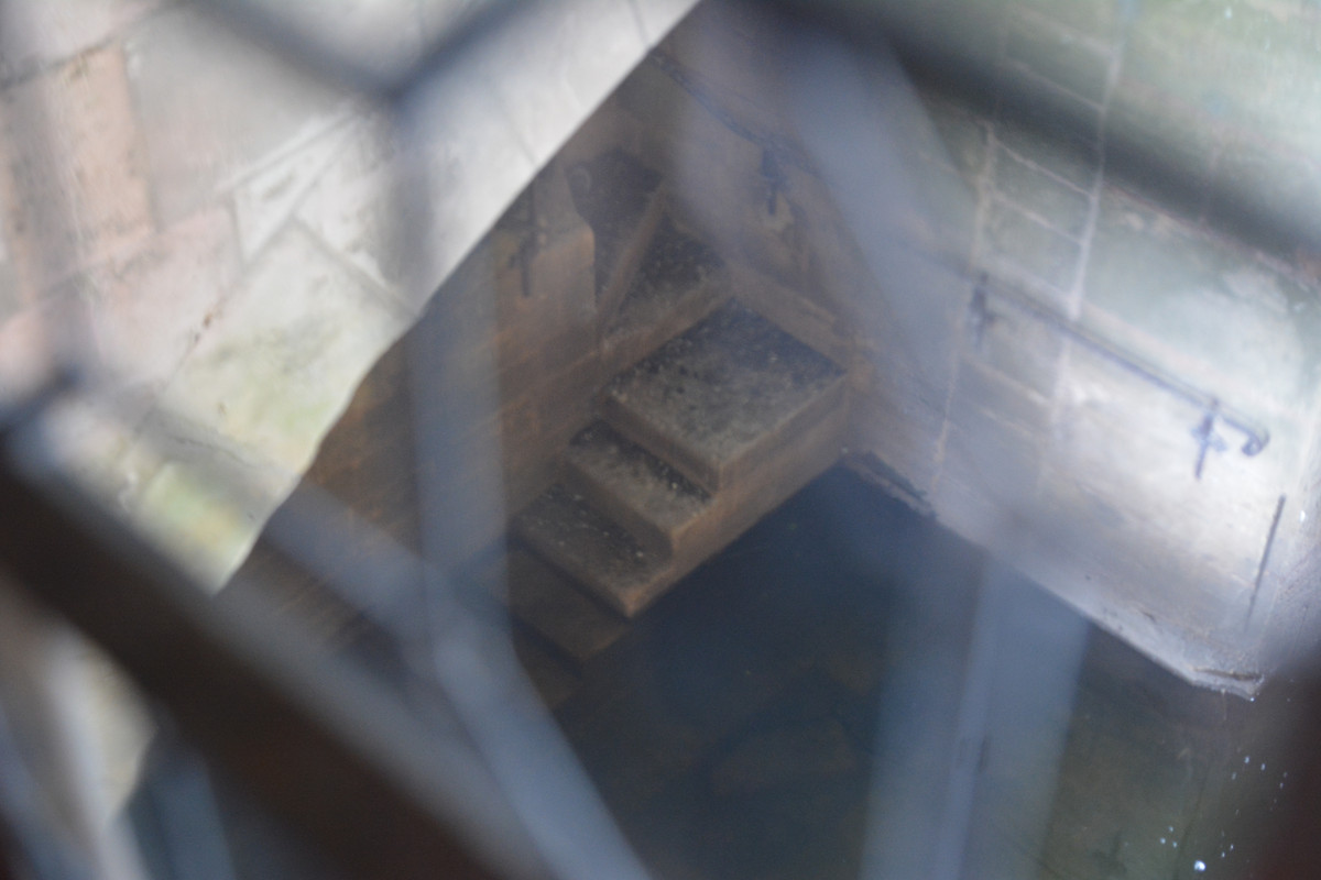 10.45 - DSC_8492 (Ater)