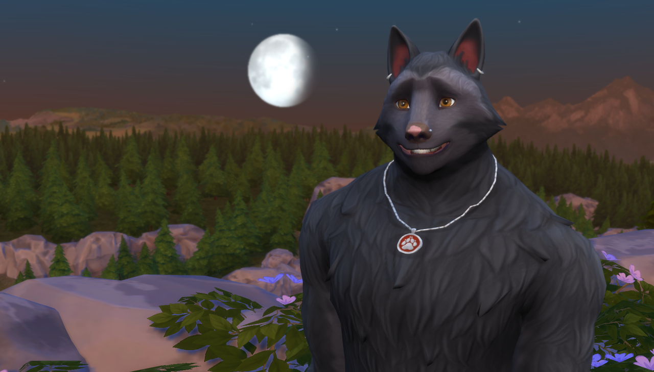 WOLF-WITH-MOON-FACE.png