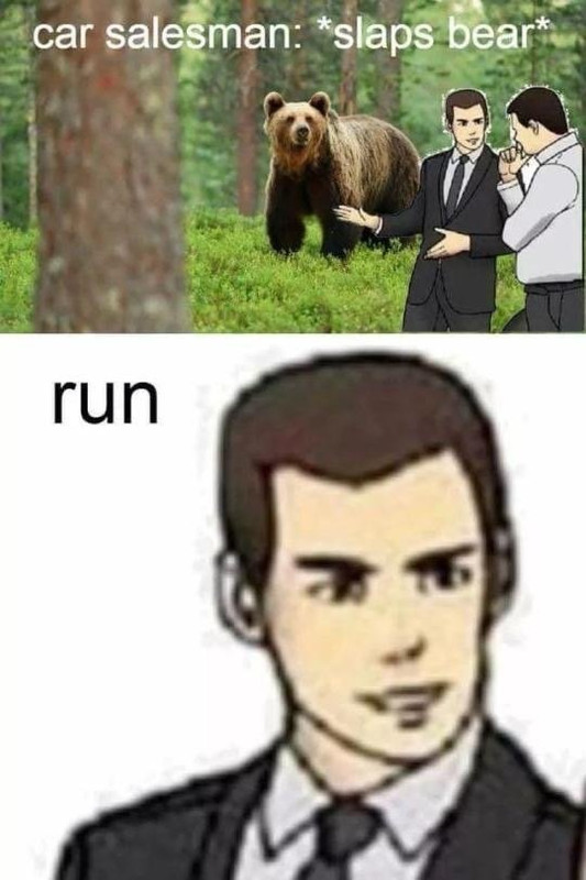 bear.jpg