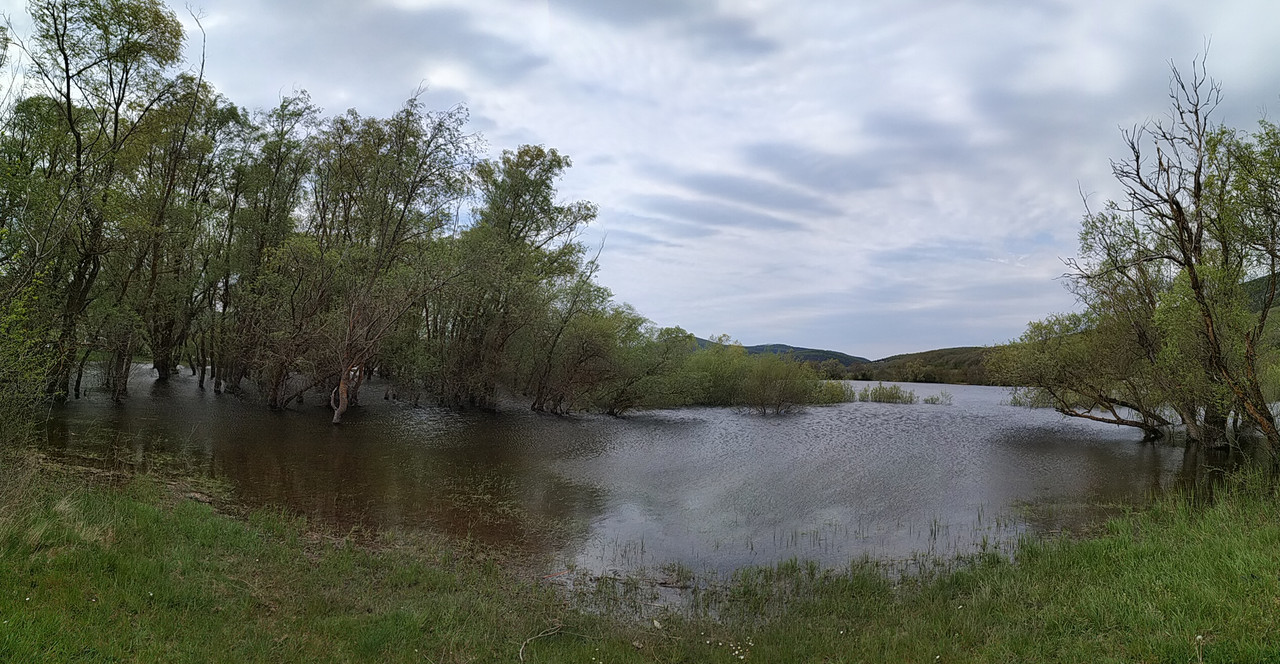 PANO_20190505_143546