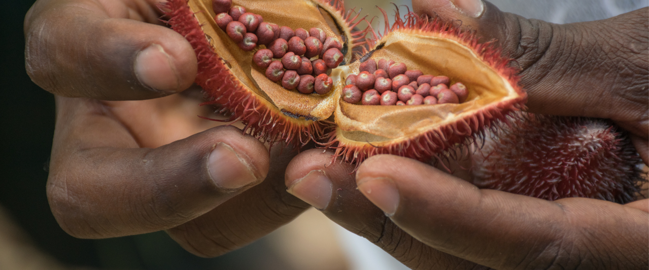 Zanzibar spice farm tour