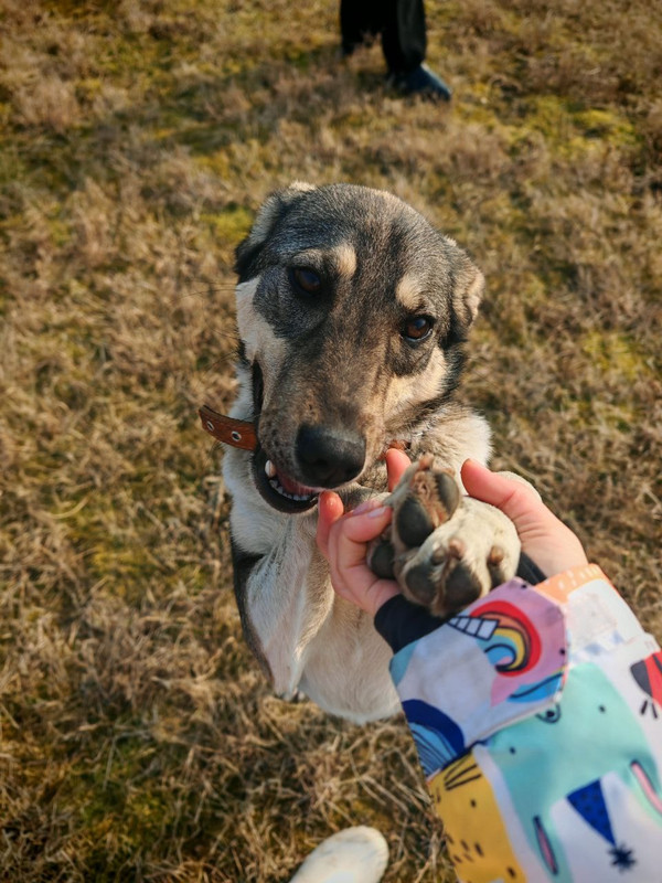 dJpRcxpbQya0UxLn5h0YqCEnVY50-gxbPBYHReR-1h3S1rtA_KIhdOQd5AzF1ciODe_i5LXuLwrZvqv5zk06PAXx