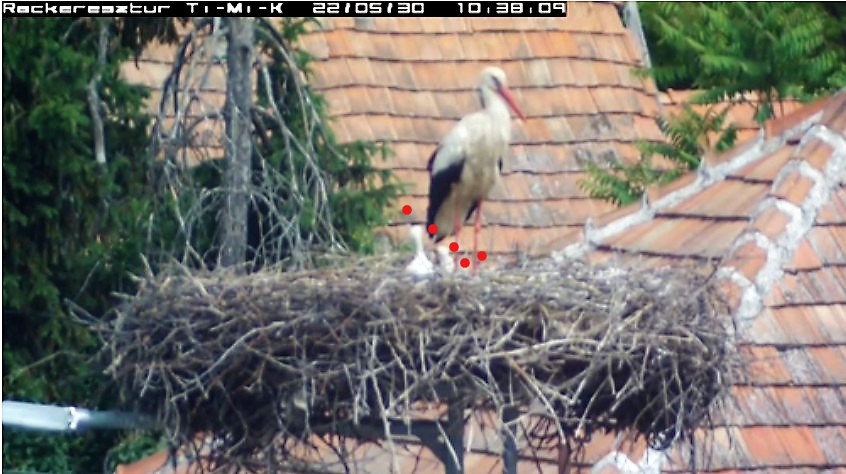 Inked2022-05-30_104249 másolat_LI