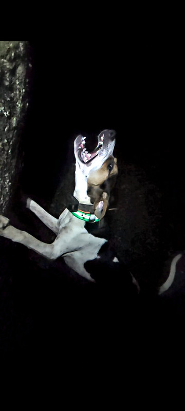 65CCB752-05A5-4E86-B9FF-8EB9370222A9