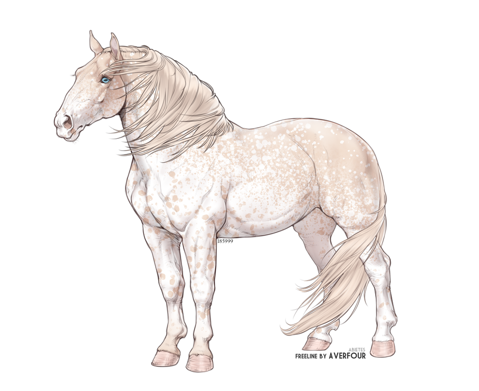 destrier-mare.png