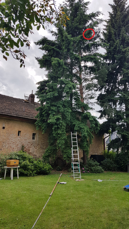 roj praha označ 20240606-122449