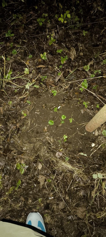 IMG 20251128 212850 832