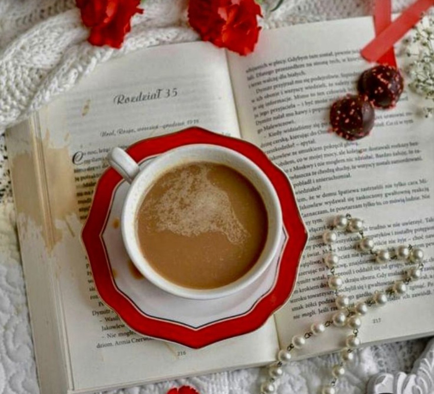 Screenshot_20230219_201255_Pinterest