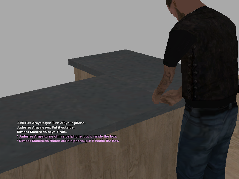 SSRoleplay446.png