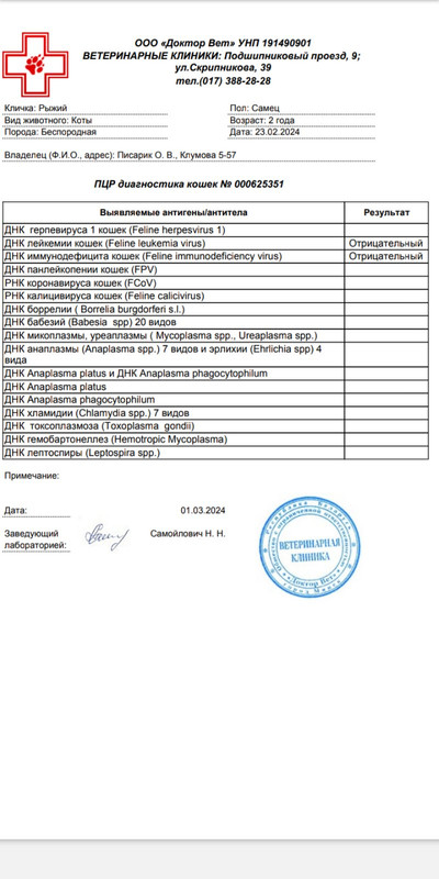 изображение_viber_2024-03-01_22-01-14-148