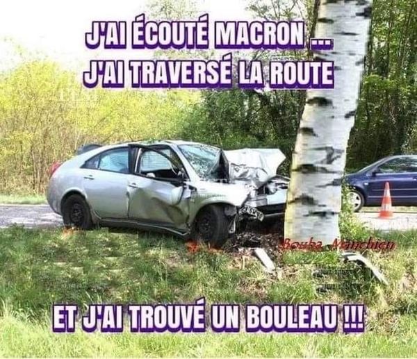 bouleau.jpg