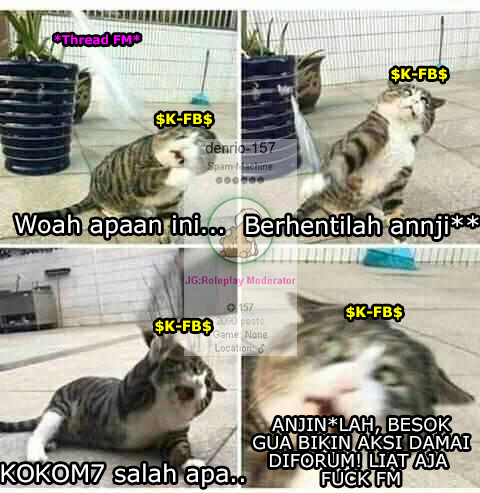 MEME-42.jpg