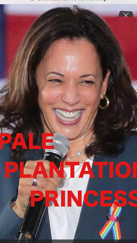 F8CECF20-614C-45F4-82D4-BD4BC8A3A138