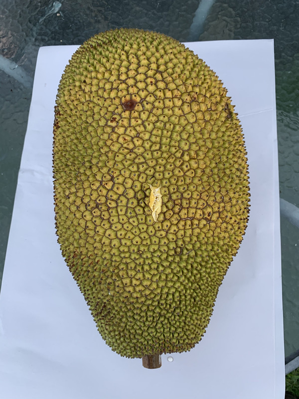 28B6F5F5-9DB9-4A34-9A8C-2A1388976825