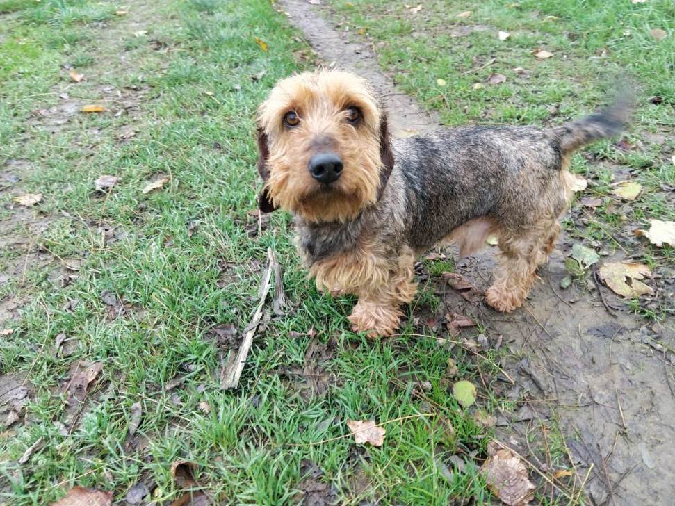 [Image: image000001-12.jpg]