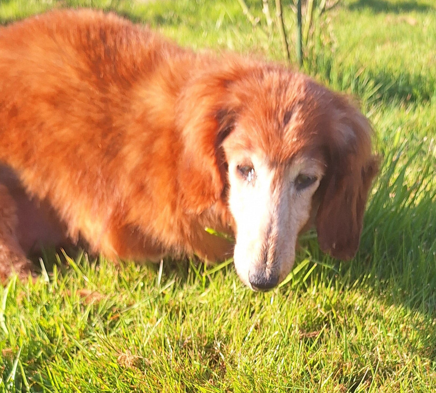 [Image: 1000067778.jpg]