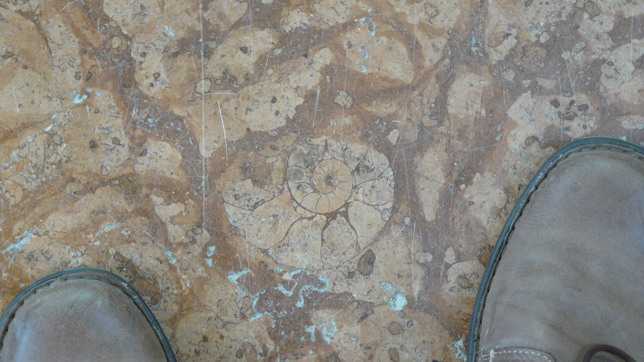 [Obrazek: d030cba8ae21f310.jpg]