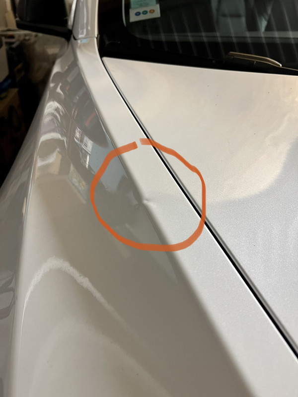 E29DBAF9-360F-404D-BED7-CB8C1901BE85