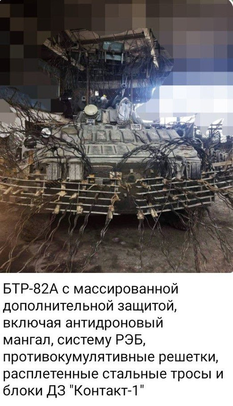 photo 2026 04 12 00 31 10