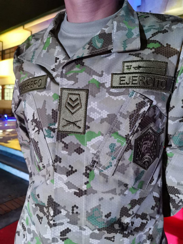 Proyecto Camaleón Bicentenario003