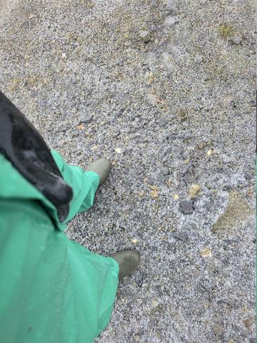 20260313 162808