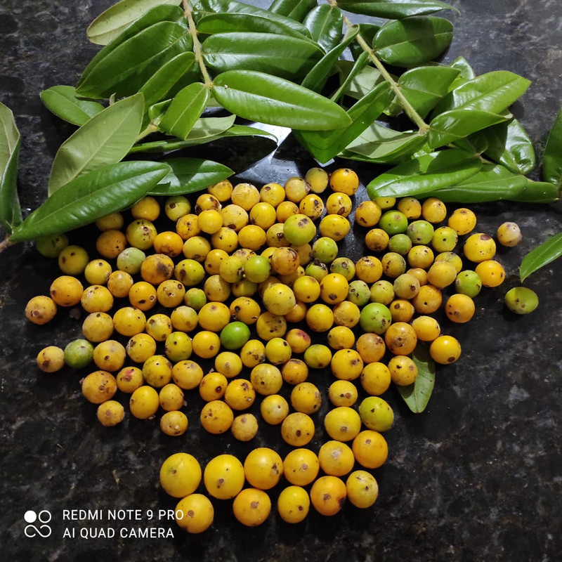 WhatsApp Image 2020-12-20 at 13.41.20 (6)