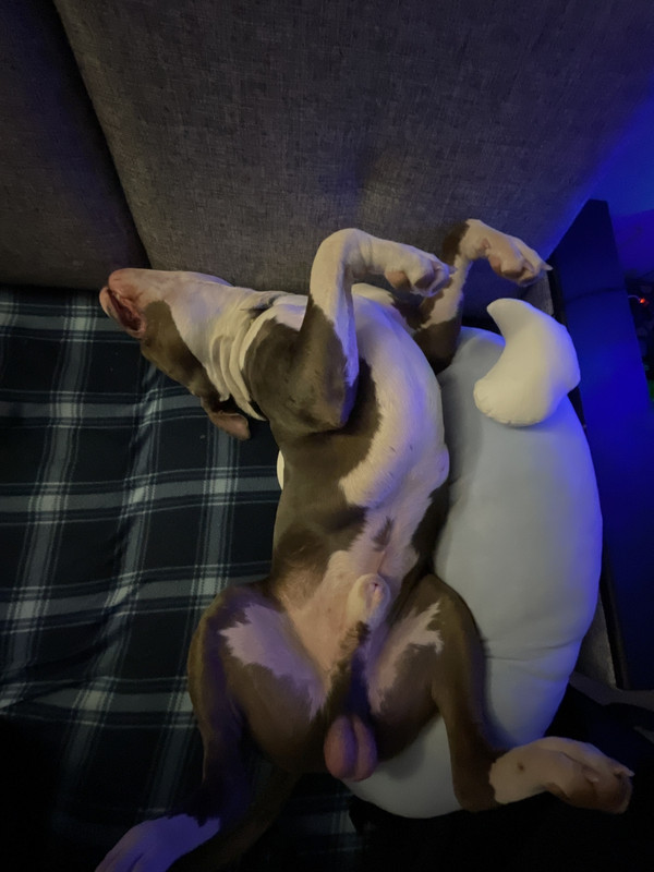 ABEE15AE-D006-416C-AA30-7246CD63903A