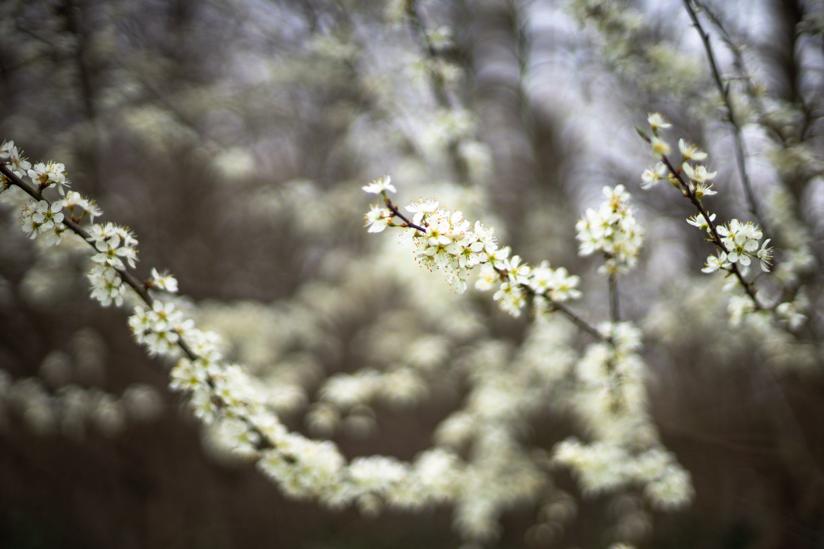 936B36E1-77C0-428C-B7A0-63AEB6468A6A