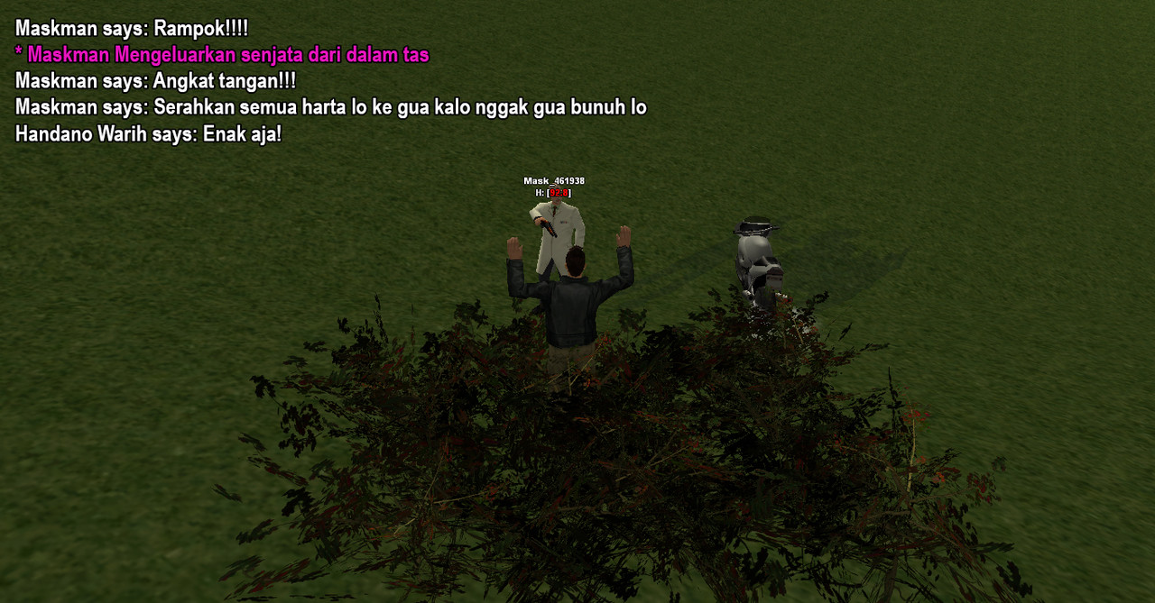 16.jpg