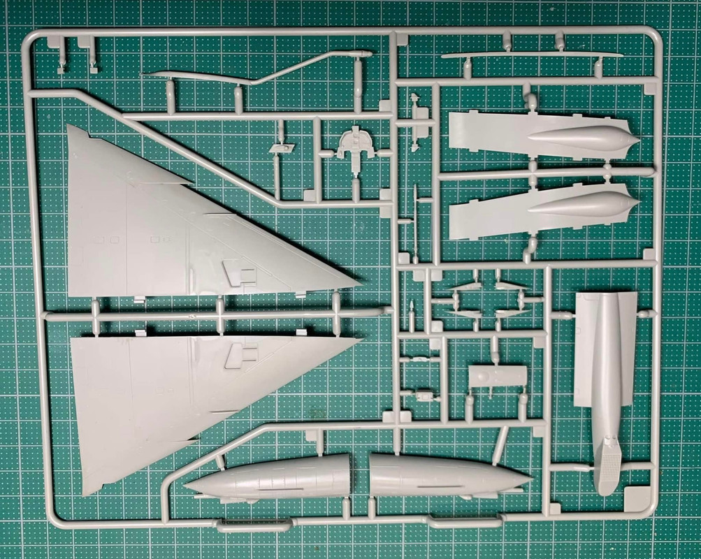 Kinetic Cheetah D (5)